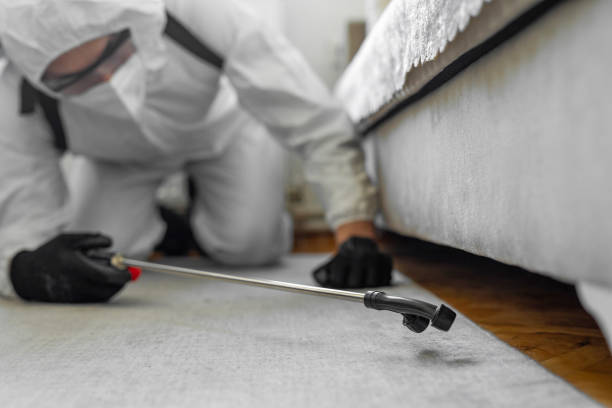Professional Bed Bug Control technician working in China Grove, TX